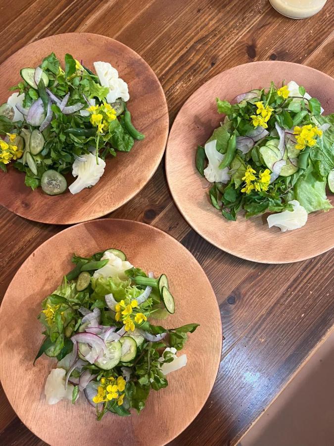 Hotel Vegetarian House Jamoo Yamanakako Zewnętrze zdjęcie